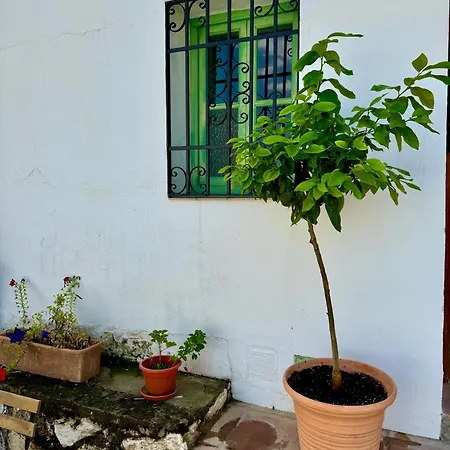 Casa de Férias Casa León *